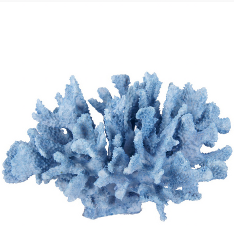 Classic Blue Coral